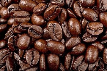 Image showing coffee beans