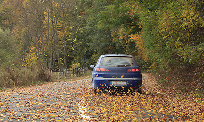 Image showing Autumn drive