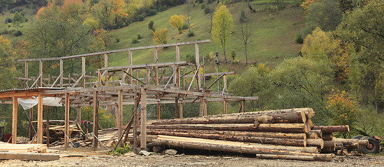 Image showing Timber production place