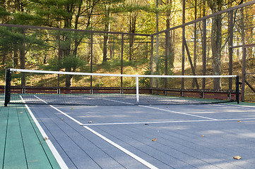 Image showing platform tennis paddle court 