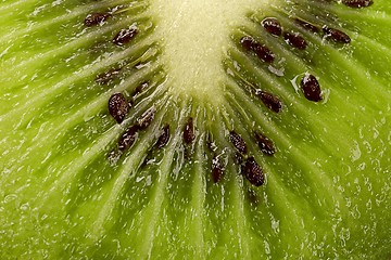 Image showing kiwi