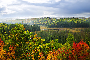 Image showing Fall forest rain storm