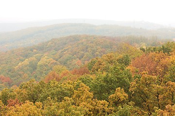 Image showing Autumn