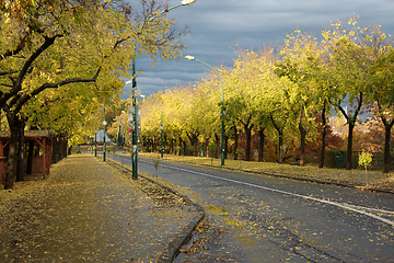 Image showing Autumn