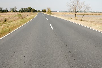 Image showing Road