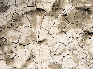 Image showing Soil