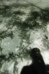 Image showing Shadows, Miami, Florida, January 2007