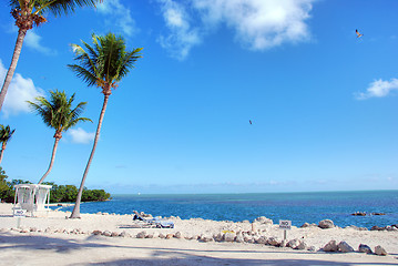 Image showing Coast of The Keys, Islamorada, Florida, January 2007