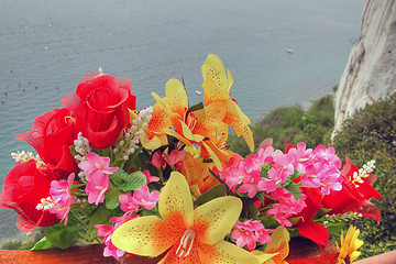 Image showing Flowers on the Sea, Croatia, May 2003