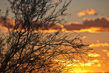 Image showing Sunset at Ayers Rock, Northern Territory, Australia, August 2009