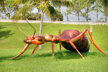 Image showing Giant Ant, West Palm Beach, Florida, January 2009