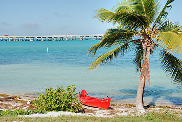 Image showing In the middle of the Keys, Florida, January 2007