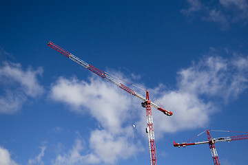 Image showing Cranes