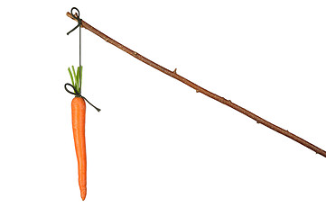 Image showing Carrot