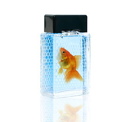 Image showing perfume bottle with gold fish