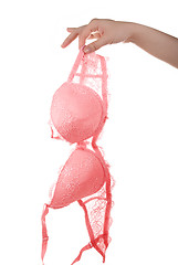 Image showing pink bra