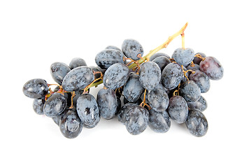 Image showing Grape cluster