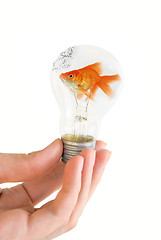 Image showing light bulb with swimming fish