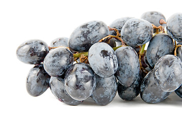 Image showing Rape Grape