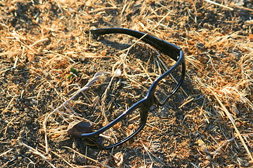 Image showing Broken Glasses