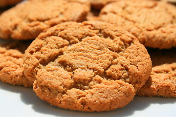 Image showing Ginger Snap Cookies