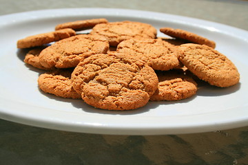 Image showing Ginger Snap Cookies
