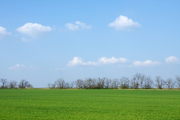 Image showing Field