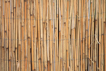 Image showing bambus texture