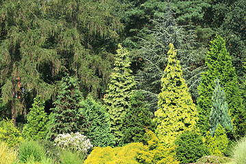 Image showing green park 