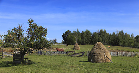 Image showing Rustic landscape