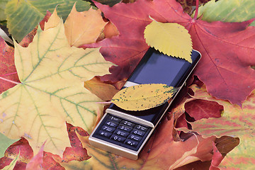 Image showing Mobile phone on autumn foliage