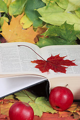 Image showing Autumn, the book, apples