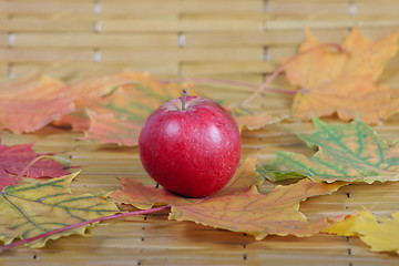 Image showing Apple autumn