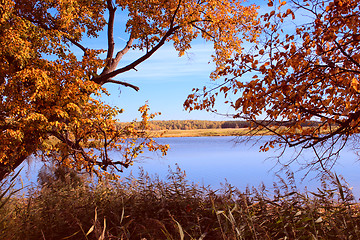 Image showing Autumn sunny day on lake