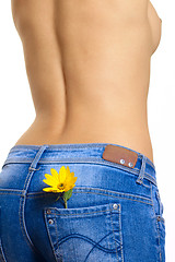 Image showing Naked young woman in jeans with a yeallow flower