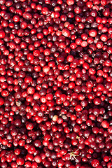 Image showing Cranberries by background