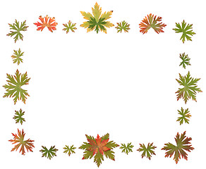 Image showing Frame put from autumn sheet