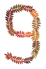 Image showing Numeral nine 9 put from autumn sheet