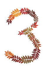 Image showing Numeral three 3 put from autumn sheet