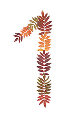 Image showing Numeral one 1 put from autumn sheet