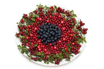 Image showing Cowberry and whortleberry on plate