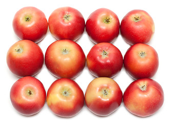 Image showing Red apple