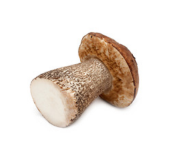 Image showing Mushroom cut