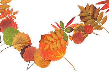 Image showing Autumn sheet strewn in heap