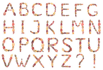 Image showing Alphabet from autumn sheet