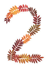 Image showing Numeral two 2 put from autumn sheet