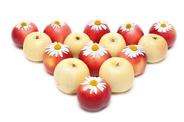 Image showing Apple and daisywheels