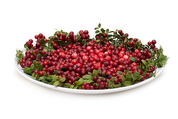 Image showing Cowberry on plate