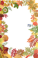 Image showing Frame from autumn sheet