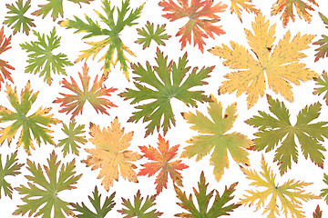 Image showing Colour autumn sheet background